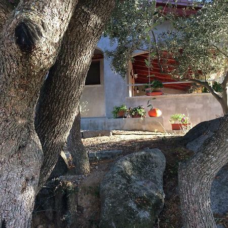 S'Umbra De S'Ozzastru Villa Оргозоло Екстериор снимка