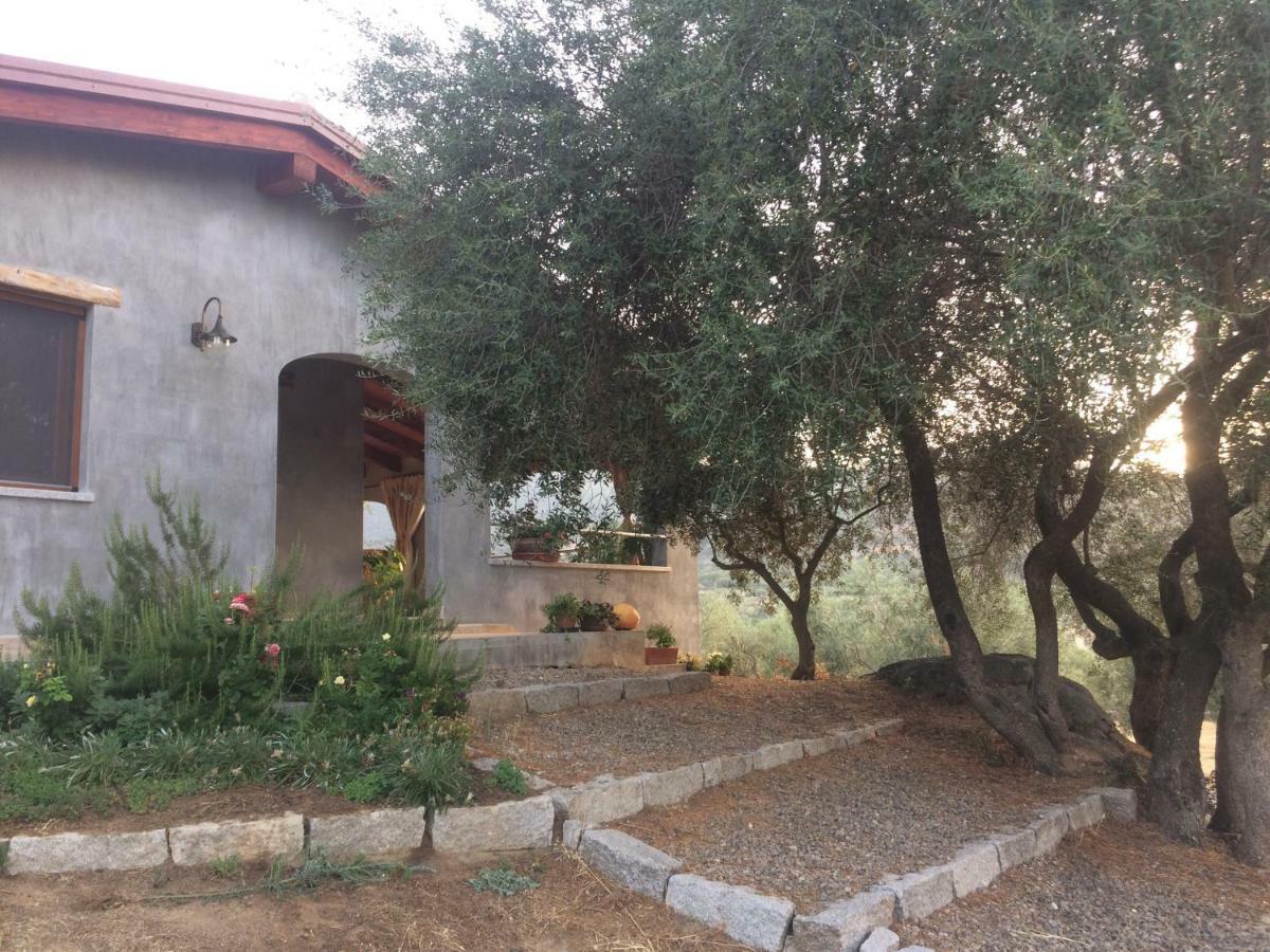 S'Umbra De S'Ozzastru Villa Оргозоло Екстериор снимка