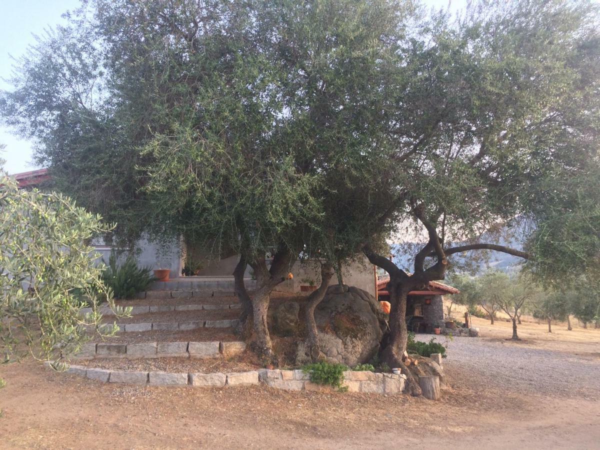 S'Umbra De S'Ozzastru Villa Оргозоло Екстериор снимка