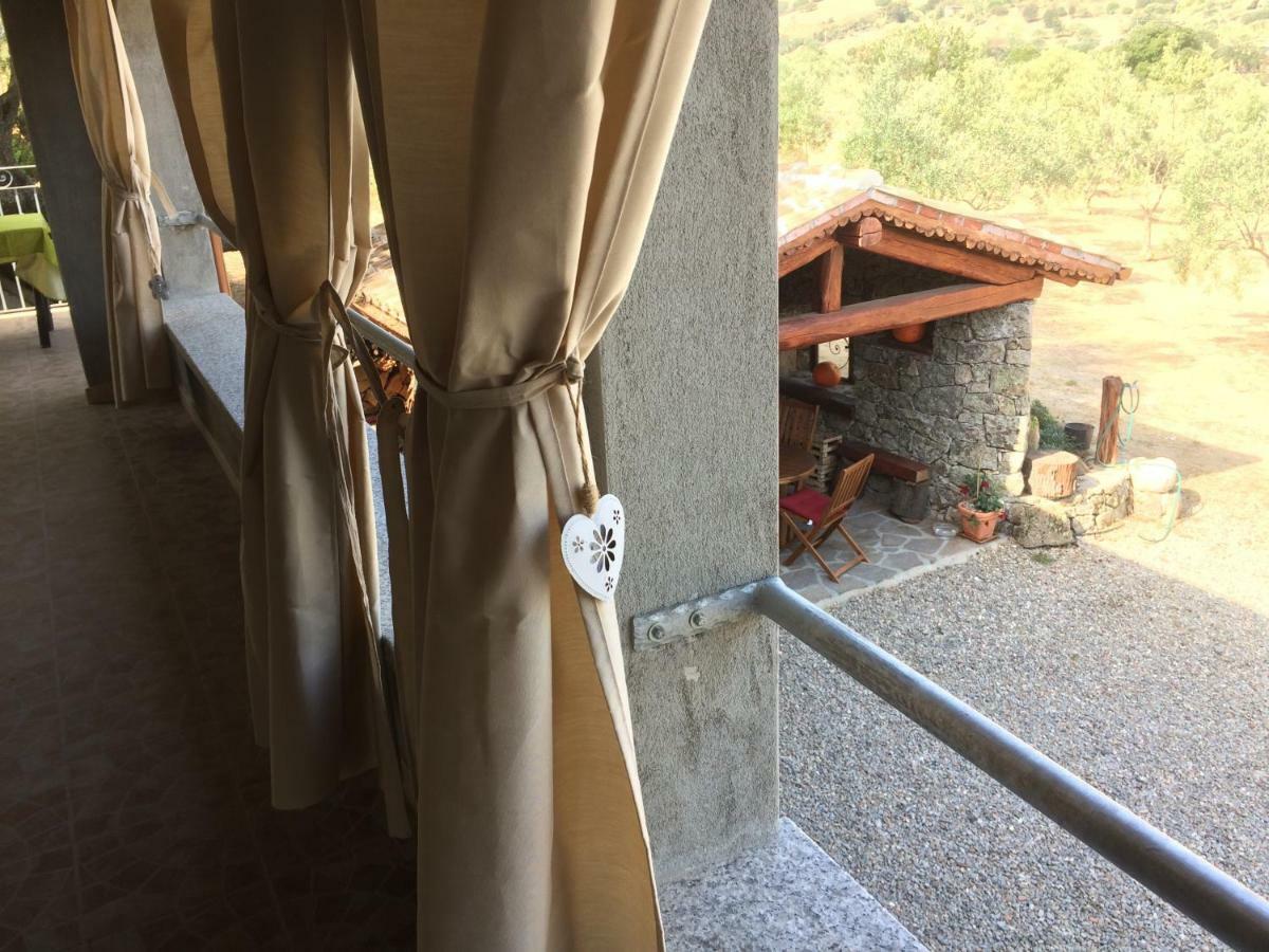 S'Umbra De S'Ozzastru Villa Оргозоло Екстериор снимка